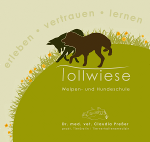 Tollwiese
