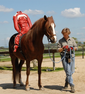 Espiritu lernt, einen Reiter zu tragen